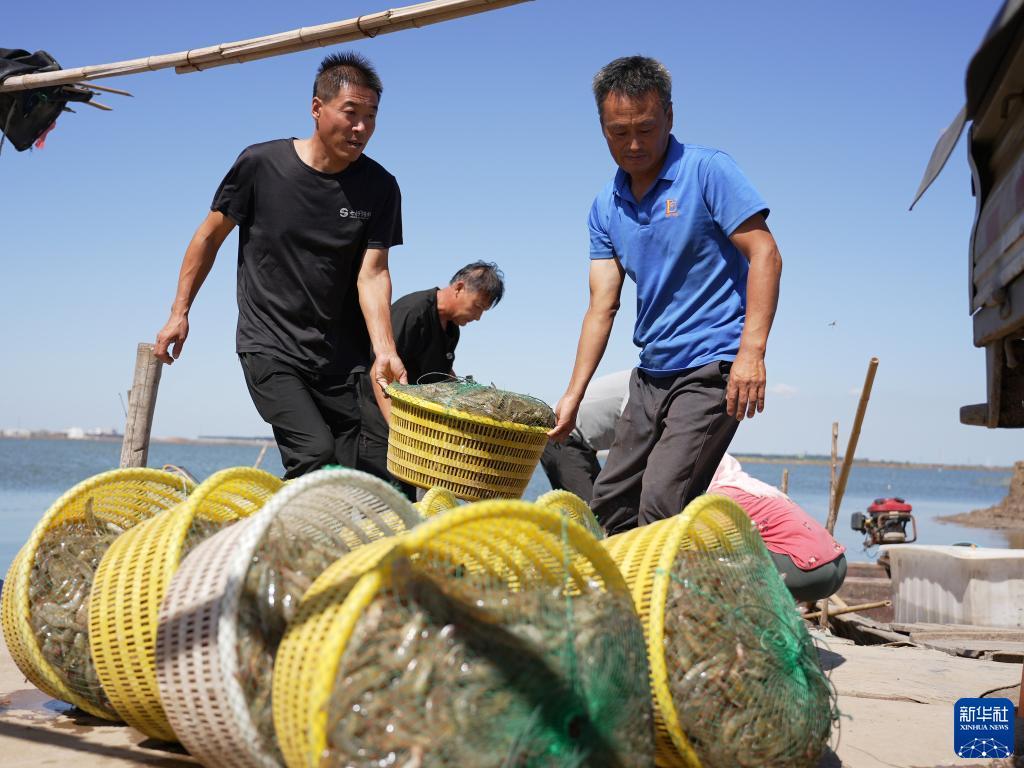 动物跑跑跑压分技巧